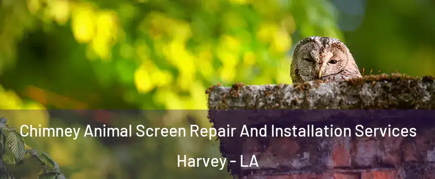  Chimney Animal Screen Repair And Installation Services Harvey - LA