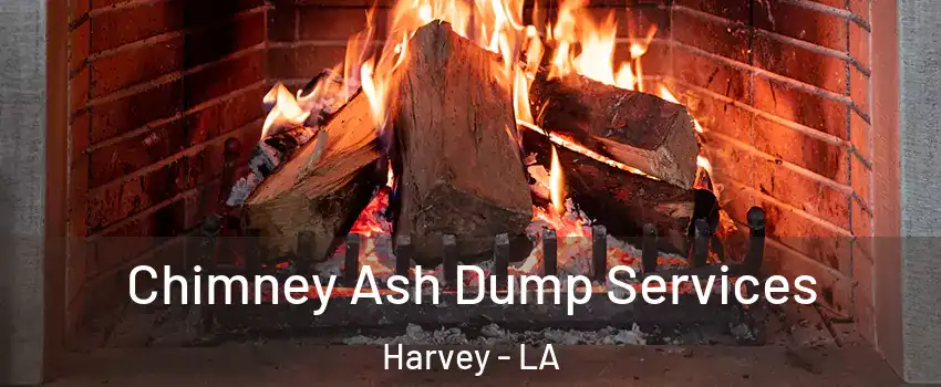  Chimney Ash Dump Services Harvey - LA