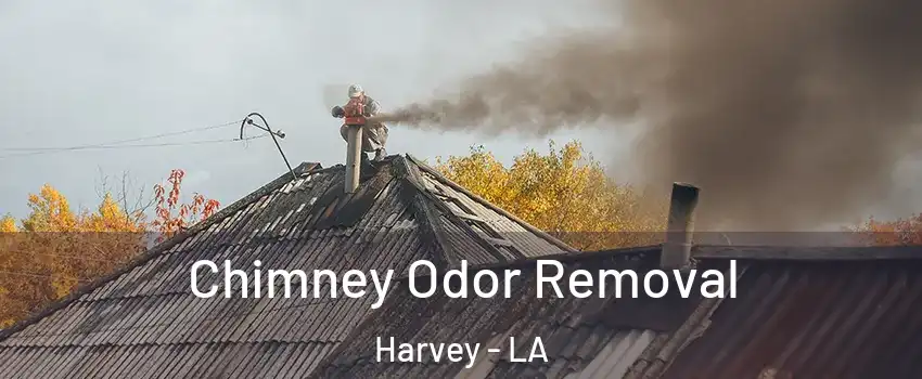  Chimney Odor Removal Harvey - LA