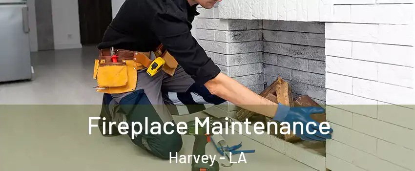  Fireplace Maintenance Harvey - LA