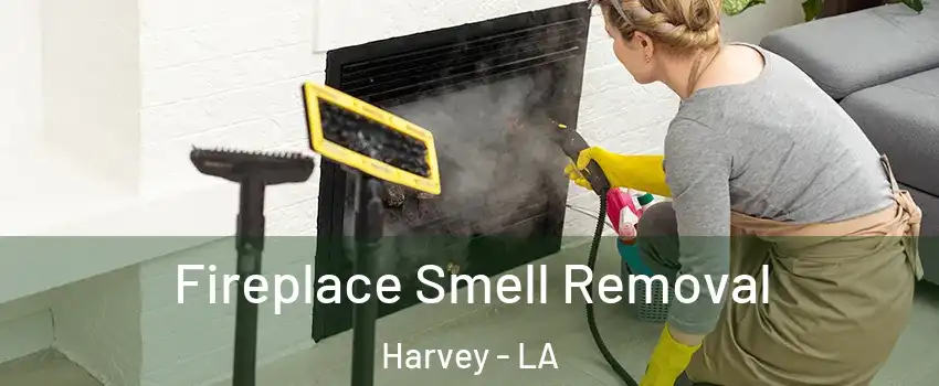 Fireplace Smell Removal Harvey - LA