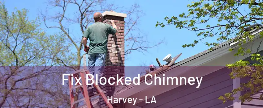  Fix Blocked Chimney Harvey - LA