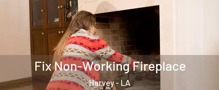 Fix Non-Working Fireplace Harvey - LA
