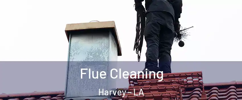  Flue Cleaning Harvey - LA