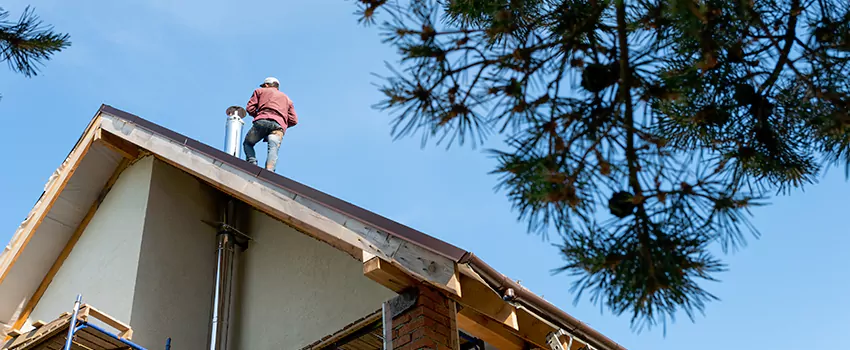 Birds Removal Contractors from Chimney in Harvey, LA