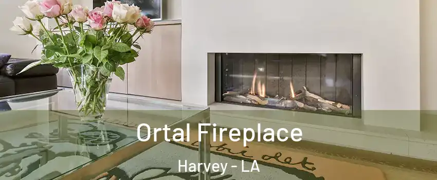Ortal Fireplace Harvey - LA